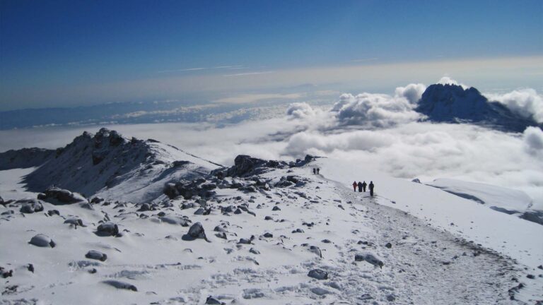 kilimanjaro