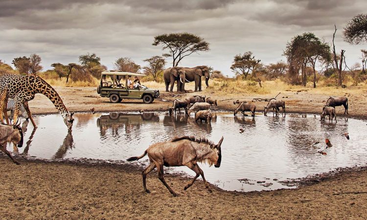 10-Facts-About-Serengeti-National-Park-750x450