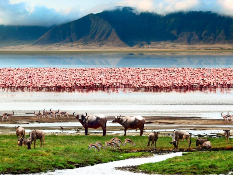 ngorongoro-crater